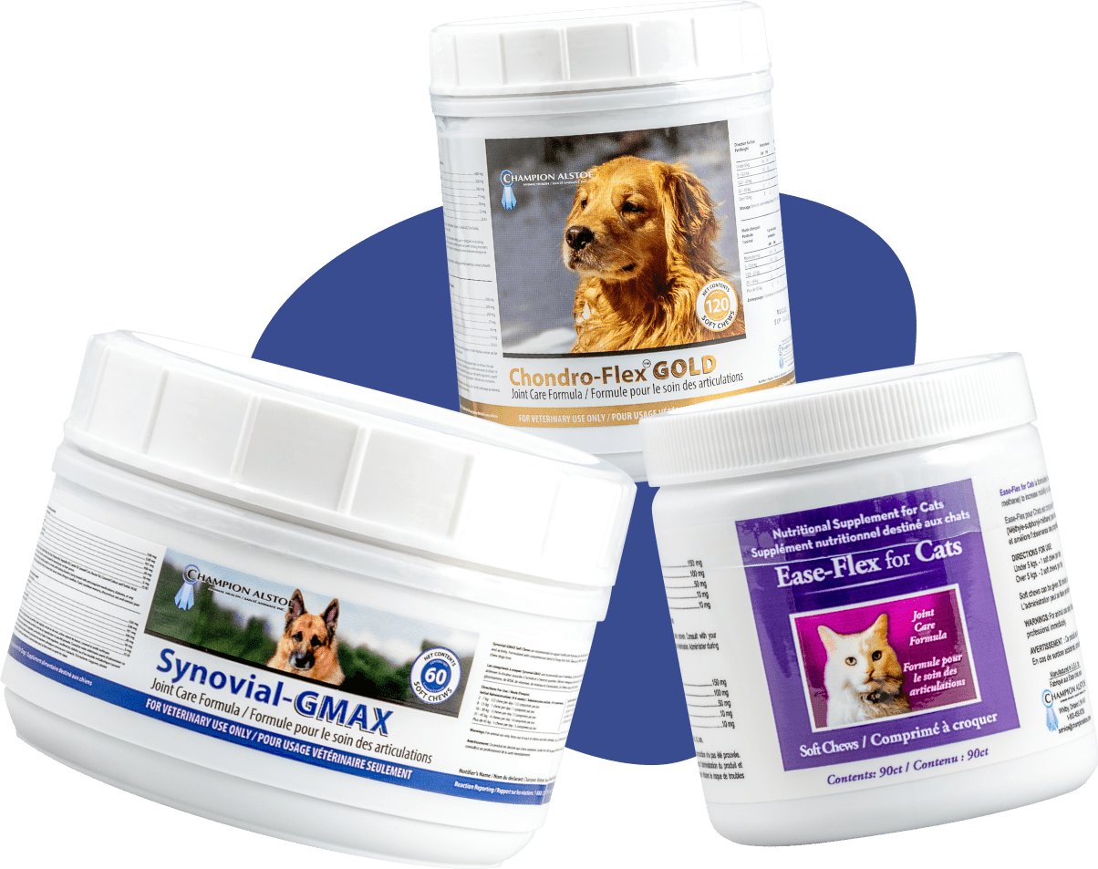 Home ShoppersPetMart